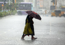 കേരളത്തിൽ മഴ തുടരും; എട്ട് ജില്ലകളിൽ ഇന്ന് യെല്ലോ അലർട്ട്